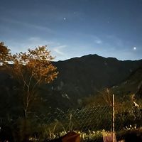 茶茶傳說專區