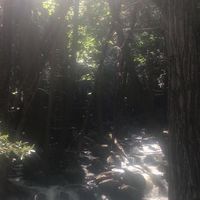 また、夢路の先で会えたら。