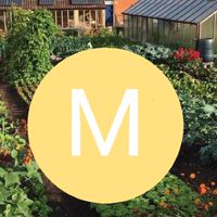M'FARM OFFICIAL