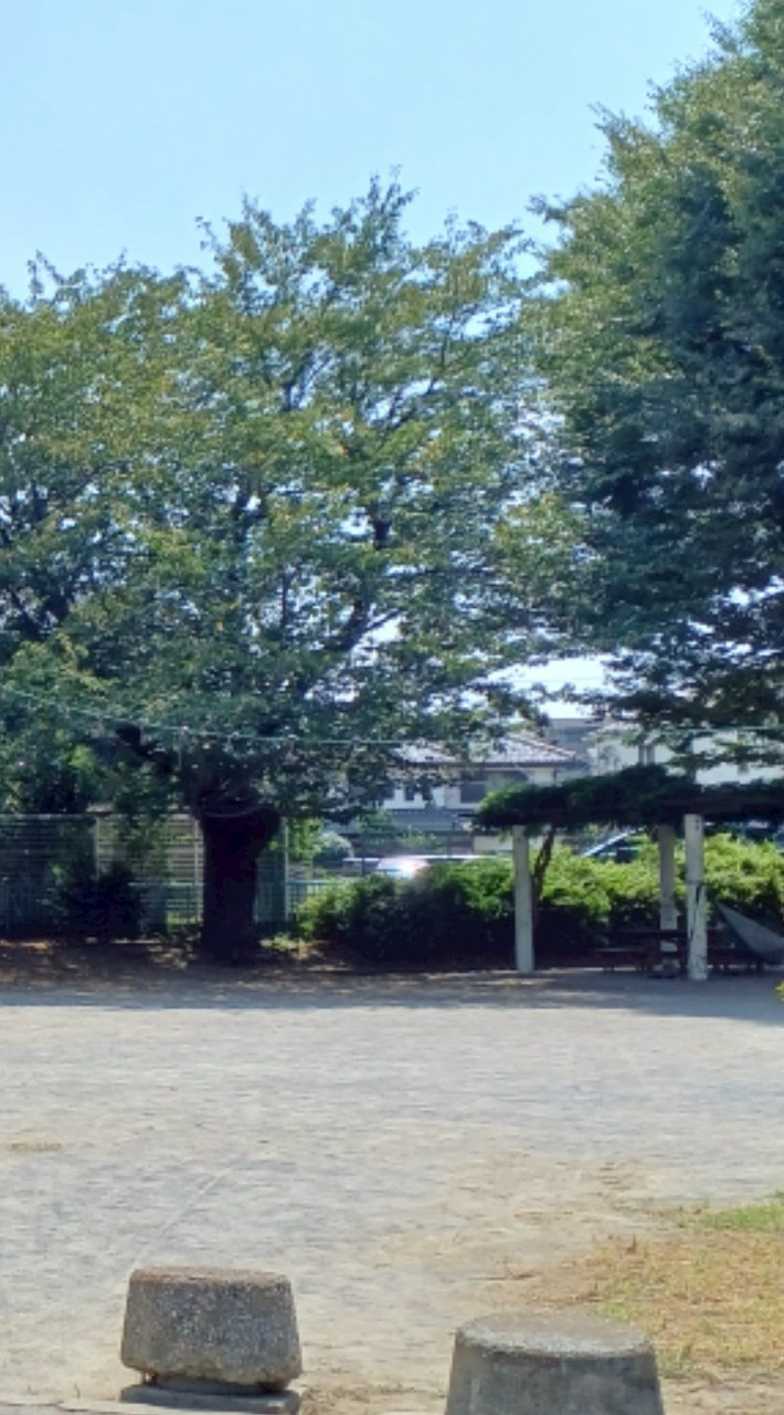 椿森三丁目町内会