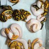 Ball Python 蛇麼攏賀 討論交流