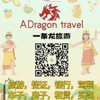 A Dragon Travel