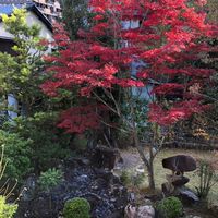 🍁廿日市　ママさん　集まって話しましょ❤️