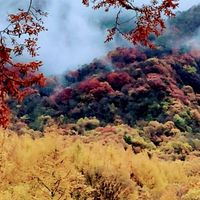 20251104九寨黃龍光霧山
