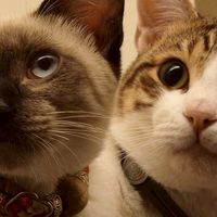 嘟嘟好💓像還在睡😽