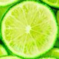 腸活モテやせ俱楽部