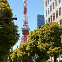 98.日/韓選物代購🇯🇵（5/3-5/7首爾連線）