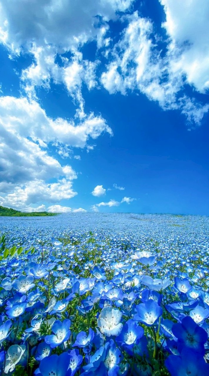 30代40代50代60代🍀癒しの空間✨優しいお部屋🌼