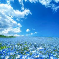 30代40代50代60代🍀癒しの空間✨優しいお部屋🌼