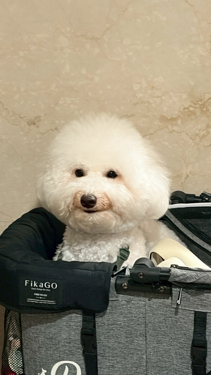 🐻‍❄️4/13-16🇰🇷韓國代購