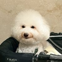 🐻‍❄️4/13-16🇰🇷韓國代購