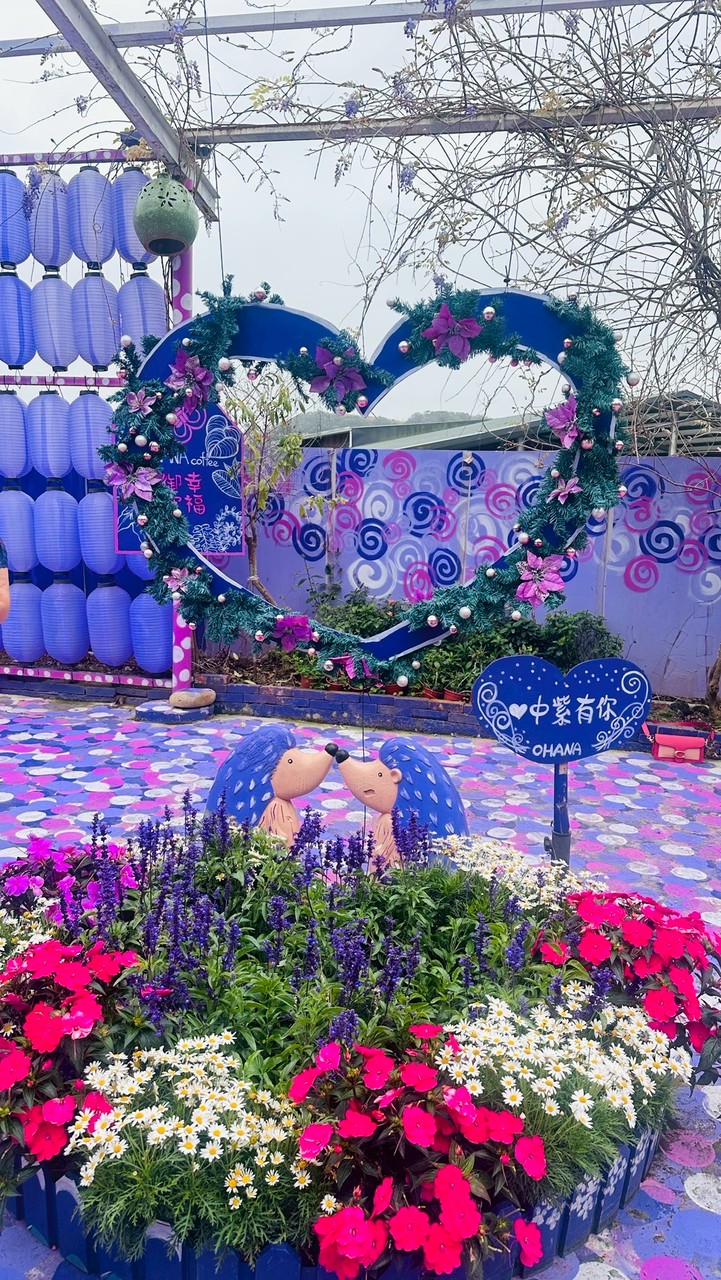 斑馬(六朵花)