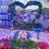 斑馬(六朵花)
