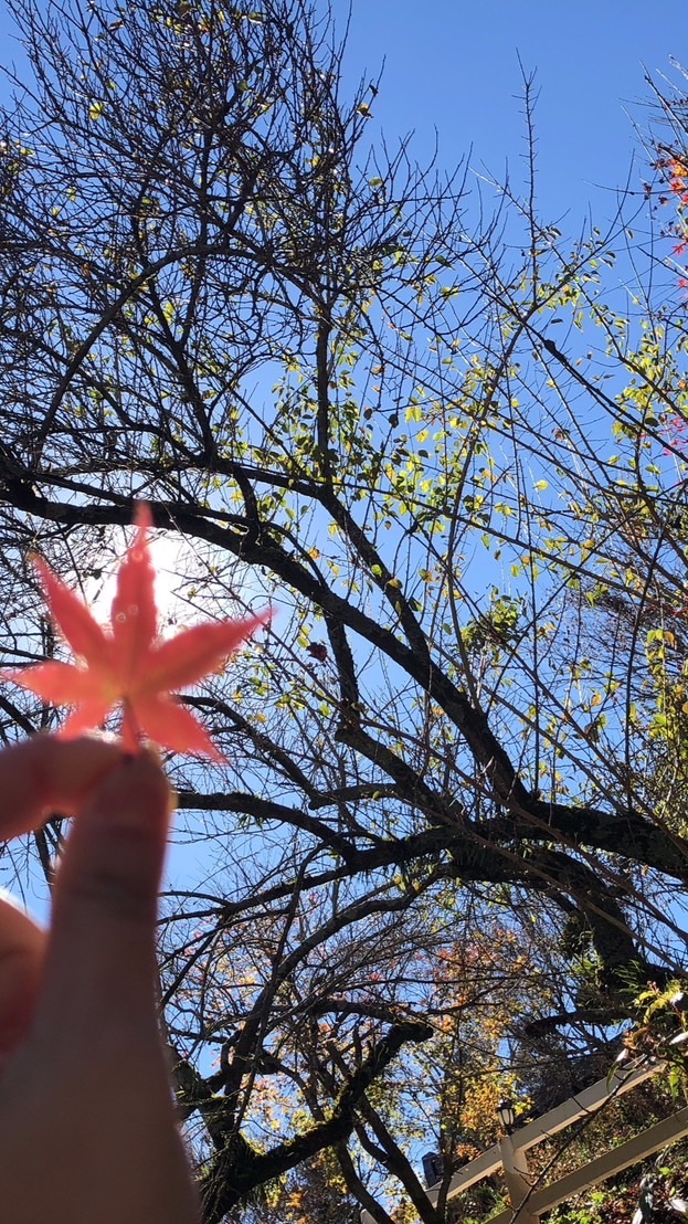好的不好的都來聊聊吧