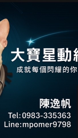 大寶星動經紀