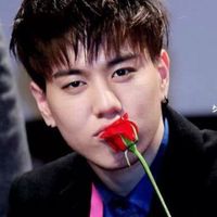 เจ้ามดน้อย