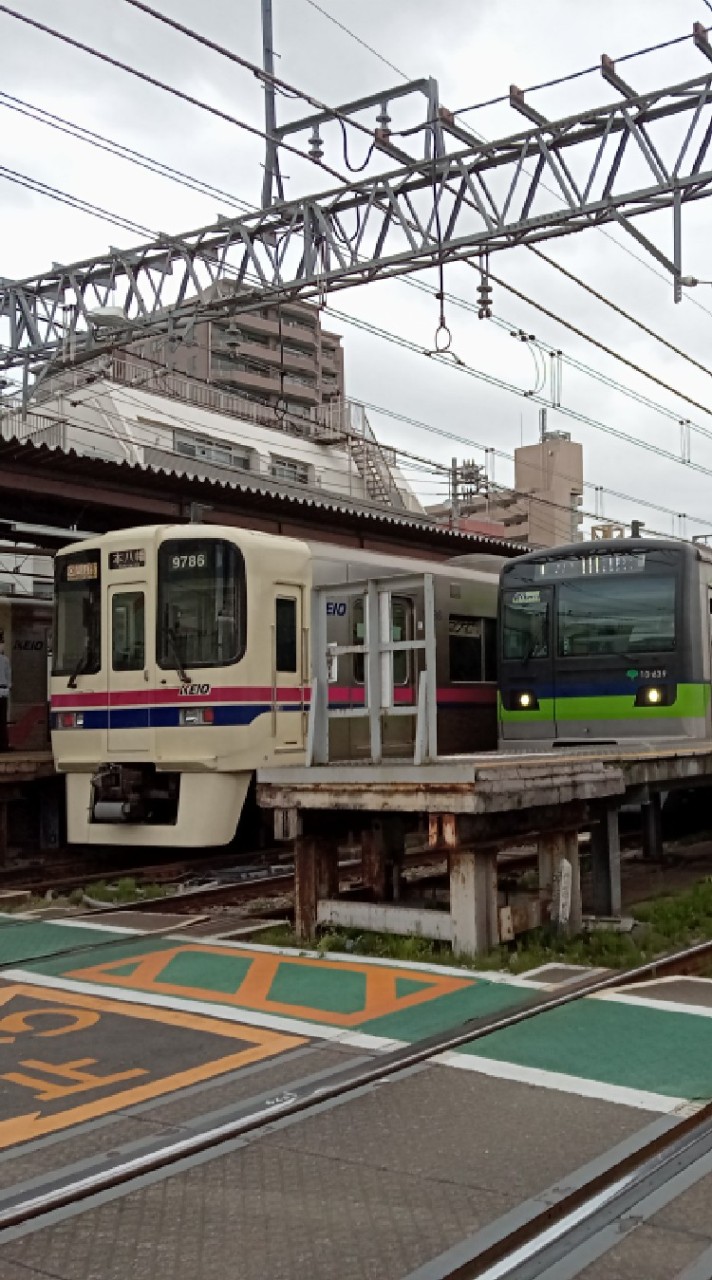 京王線　京王井の頭線　都営新宿線　お話　写真・絵送り合い