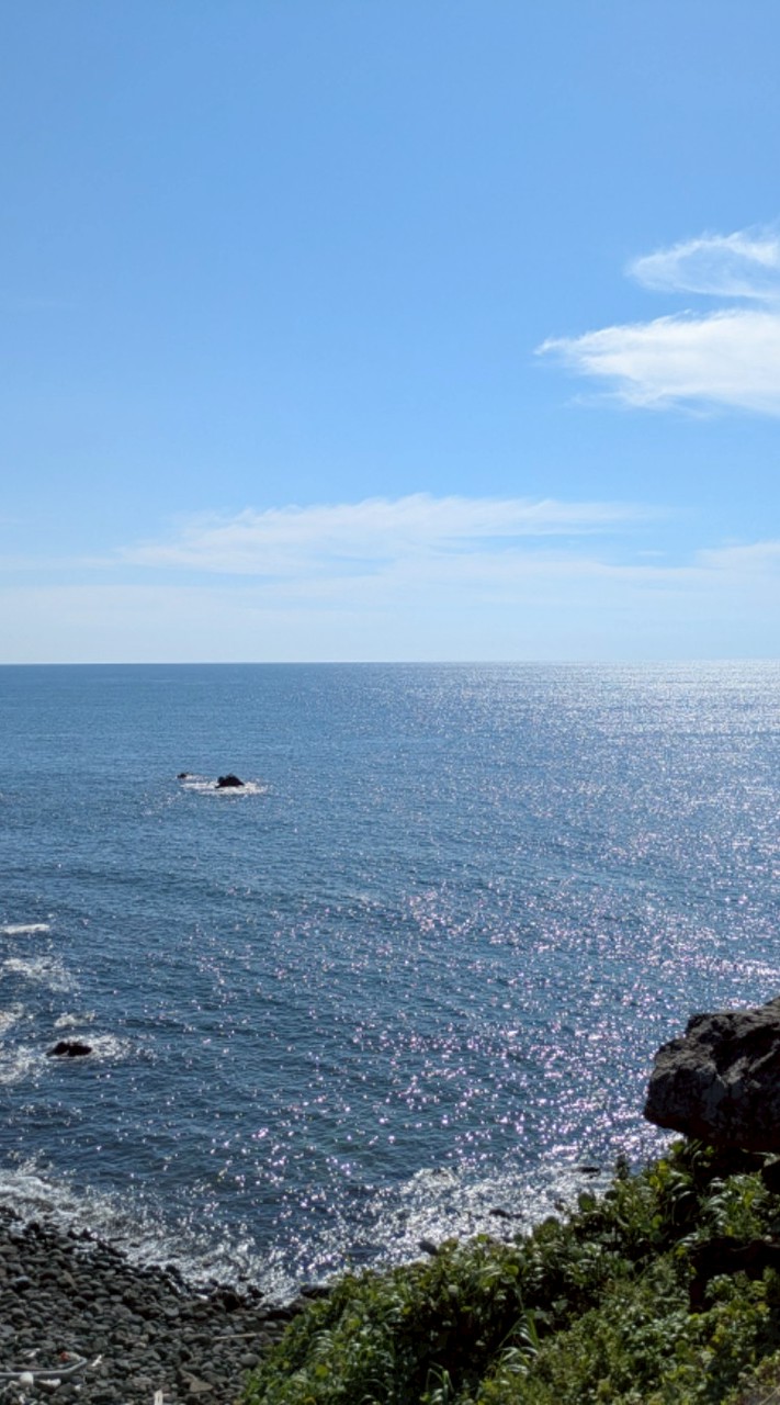 🌸東北🌸大人の雑談＆恋バナ部屋🚪