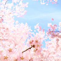 フリースクールのための全国一斉請願プロジェクトルーム（生きることの本質オンラインサロン（仮称））