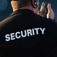 THE PLAZA SECURITY
