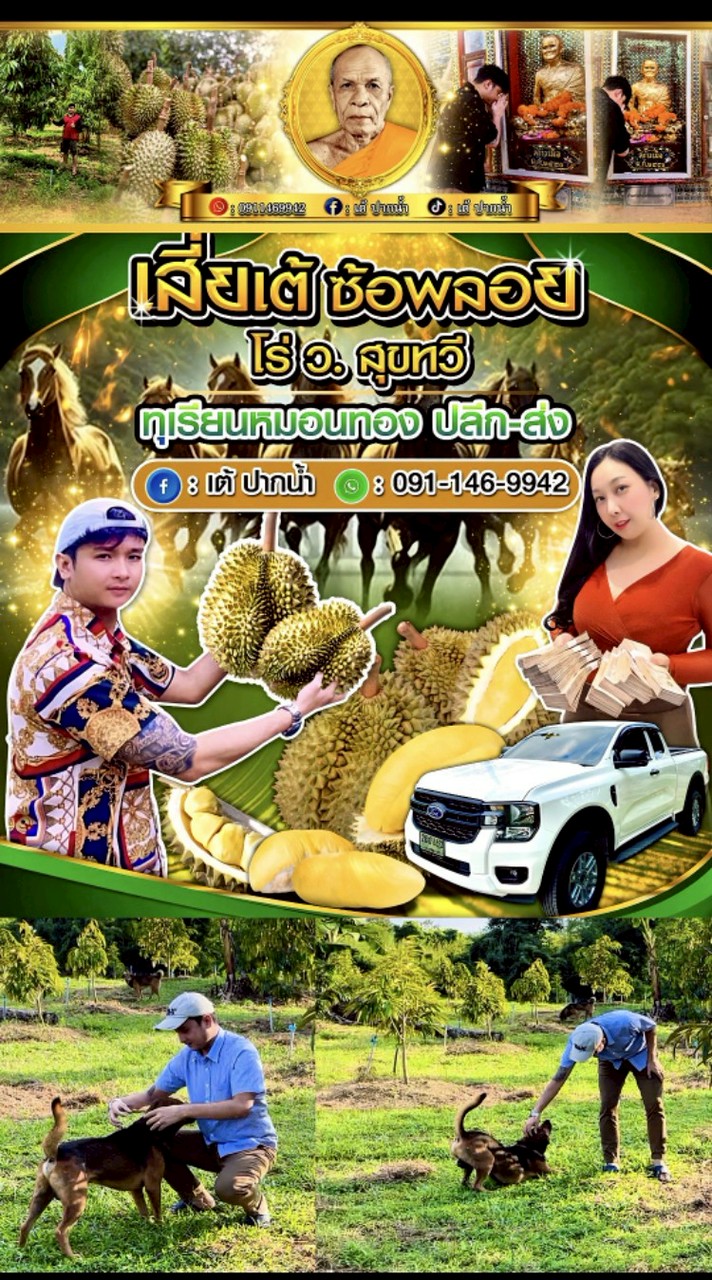 ออเดอร์ ผลไม้ ตามฤดูกาล โดยเสี่ยเต้