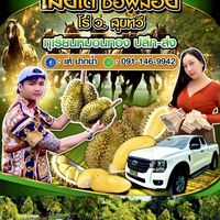 ออเดอร์ ผลไม้ ตามฤดูกาล โดยเสี่ยเต้