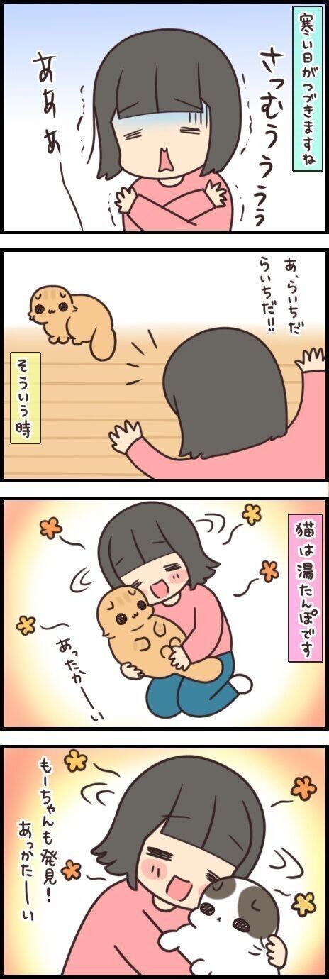 どっちが湯たんぽに 自然の湯たんぽは癒し効果もバツグン ねこのきもちnews