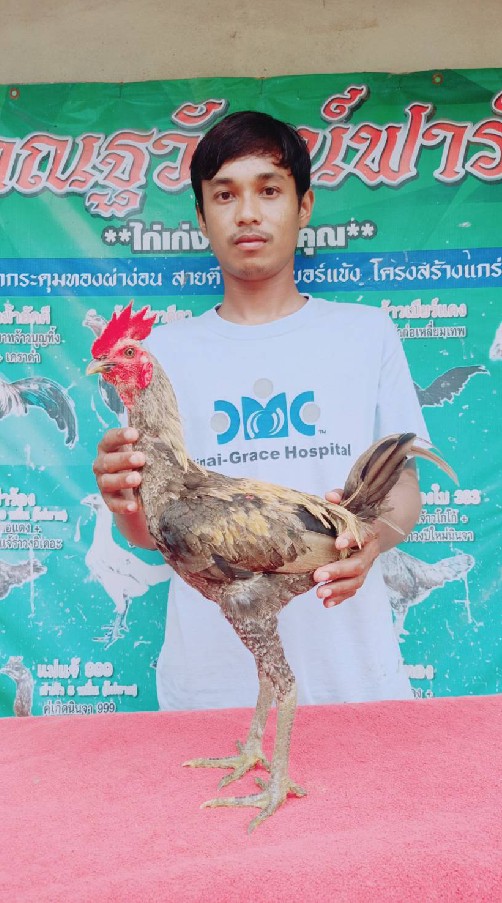 ธ.ธนาวุฒิ ฟาร์ม