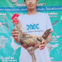 ธ.ธนาวุฒิ ฟาร์ม