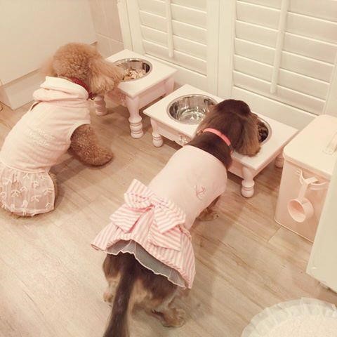 網友小美將住了24年的老屋重新整修，喜愛粉紅色及烹飪