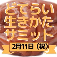 どてらいわかやま