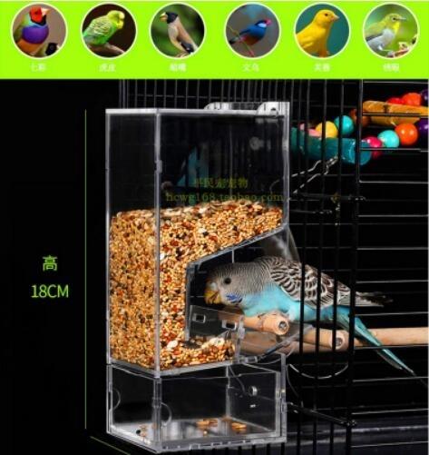 防撒鸚鵡鳥類自動餵食器 防刨食槽玄鳳牡丹投食器 防撒防濺鳥食盒
