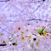 KIK    春日井 / 犬山 / 小牧 市の方のコミュニティ