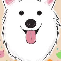 N&D 迪士尼/蠟筆小新   批發｜零售｜生活用品
