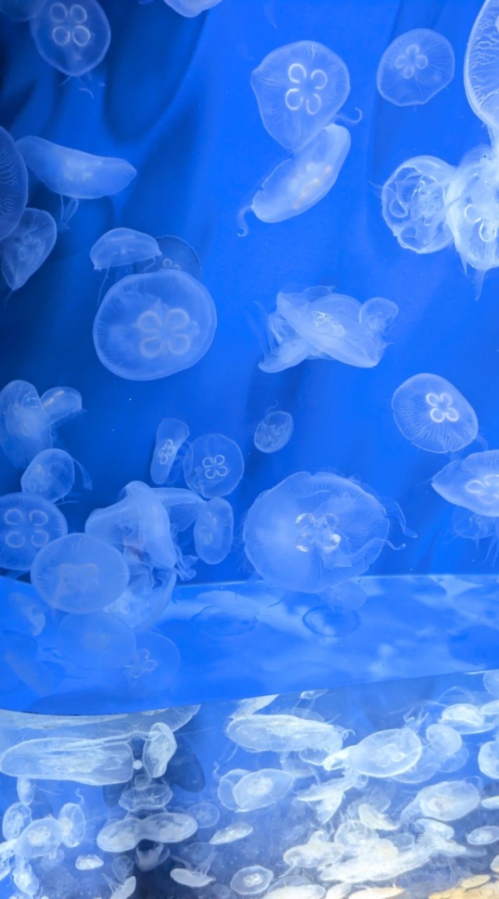 兵庫区災害対応用ルーム