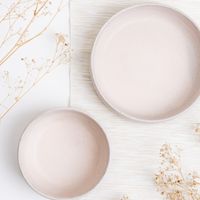 盤子尼團購代購群