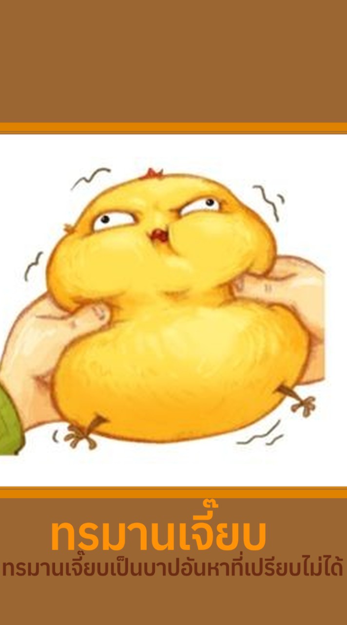 กรงเจี๊ยบ★