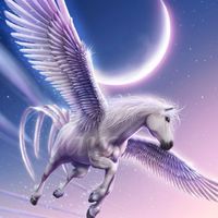 豐盈奔騰飛馬見證迅速分享群