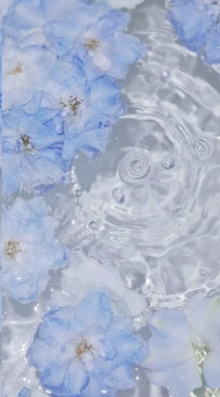 芸能人 nrkr