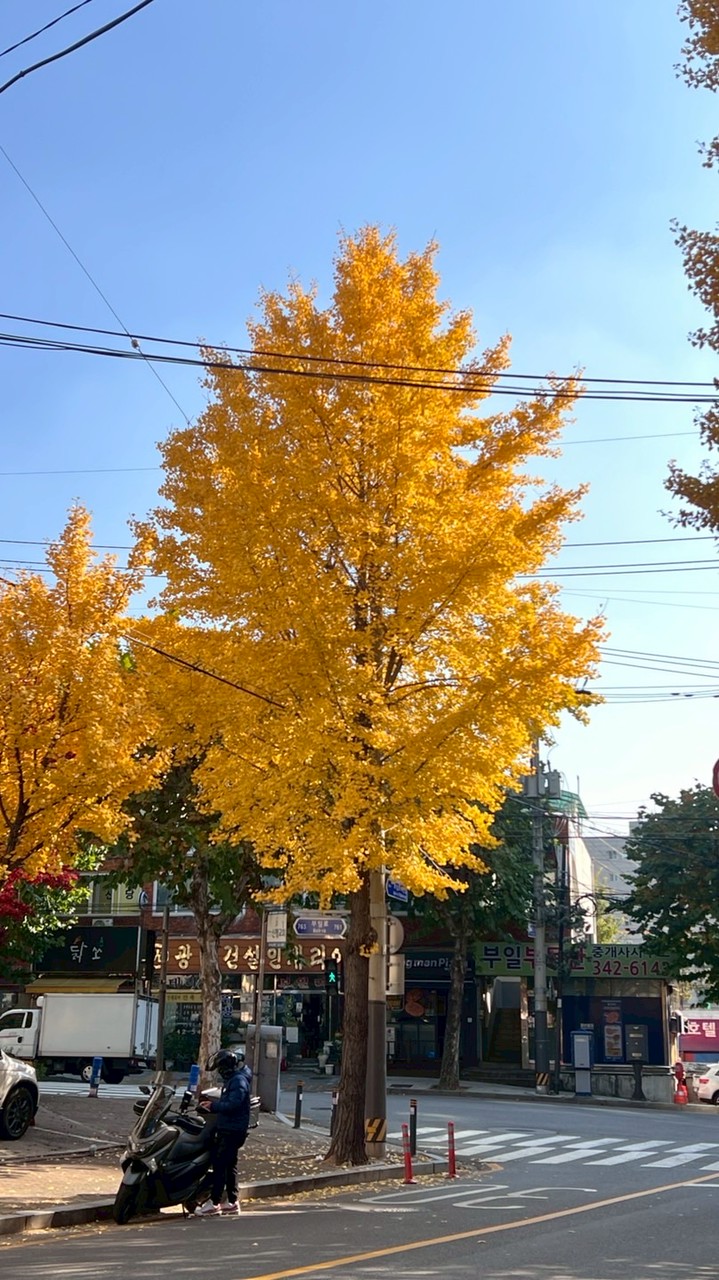 Joyful韓國代購🇰🇷