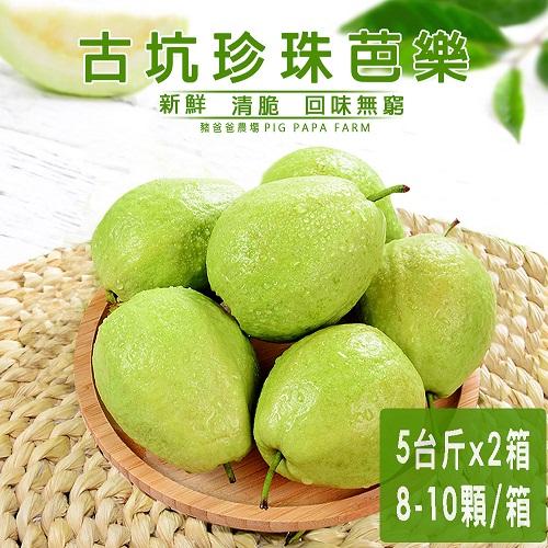 ★果肉厚實細緻,甜度較高★熱量低 維纖多 輕食首選★秋冬採收 夏天休耕培土★甜度10-18度 甜中帶酸