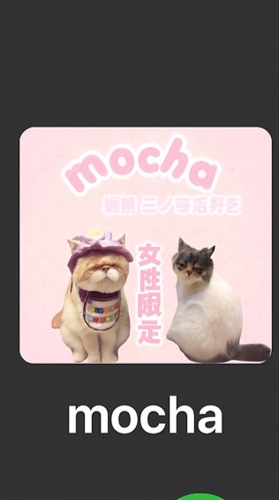 猫カフェmocha姫路店三ノ宮店好きさん繋がりましょ♥️女性限定