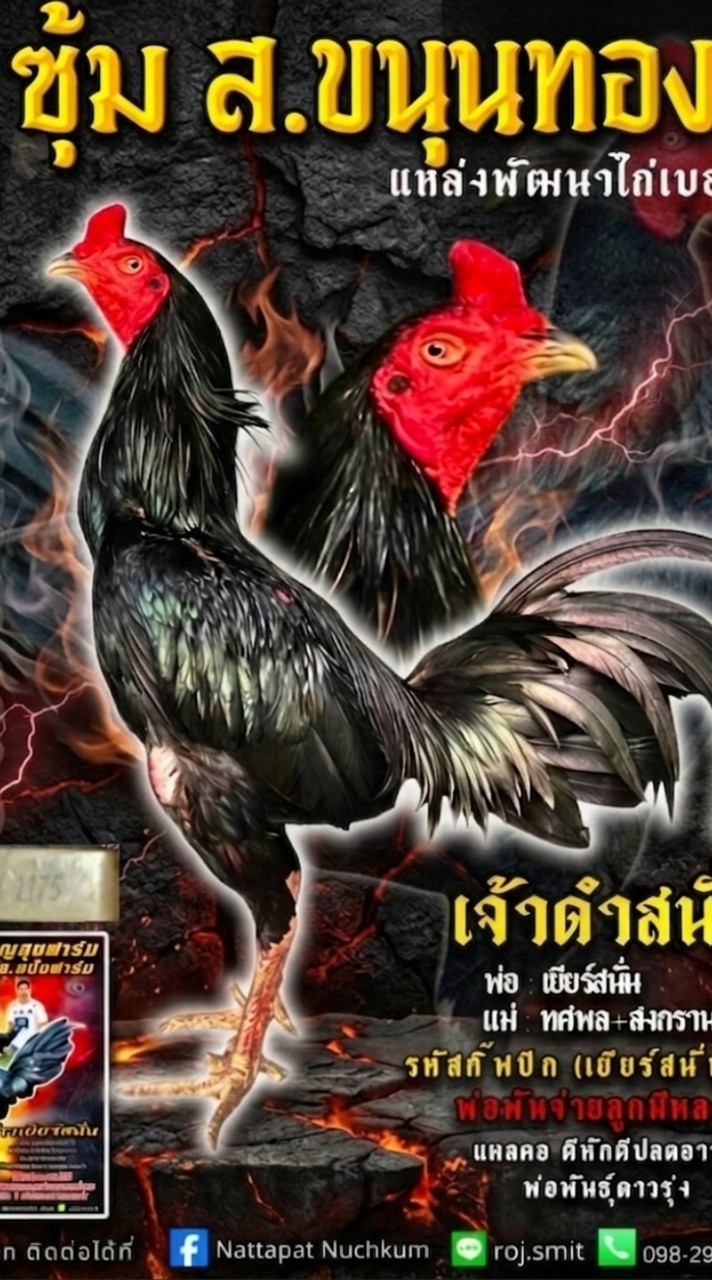 ซุ้ม ส.ขนุนทอง
