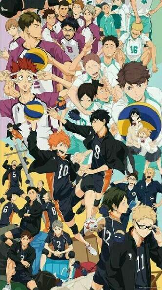 Ha(i)kyuu [Role].