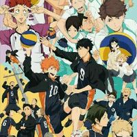 Ha(i)kyuu [Role].