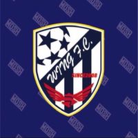 WING F.C. U-8