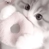 【埼玉.東京】 ガチャガチャ 協力