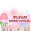 竹北中正東