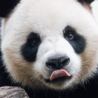 114.1學期實習