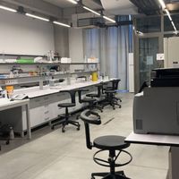 laboratory of chaos